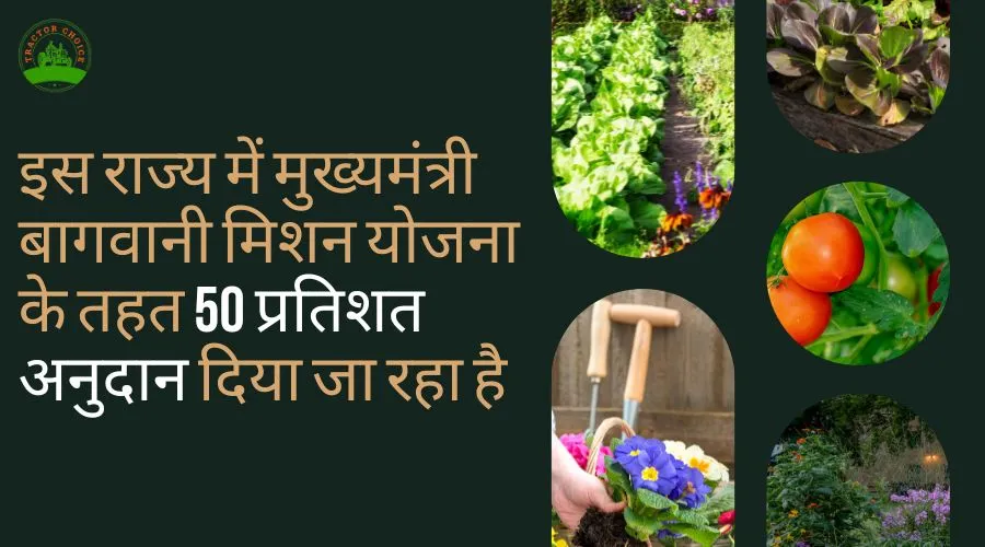 In this state, a 50 percent subsidy is being provided under the Chief Minister's Horticulture Mission scheme.
