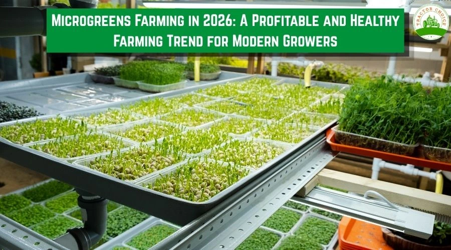 Microgreens Farming in 2026: A Profitable and Healthy Farming Trend for Modern Growers