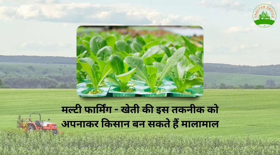 Multi Farming In India