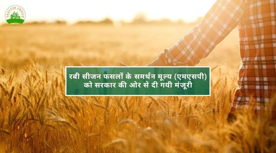 Rabi Seson Information 