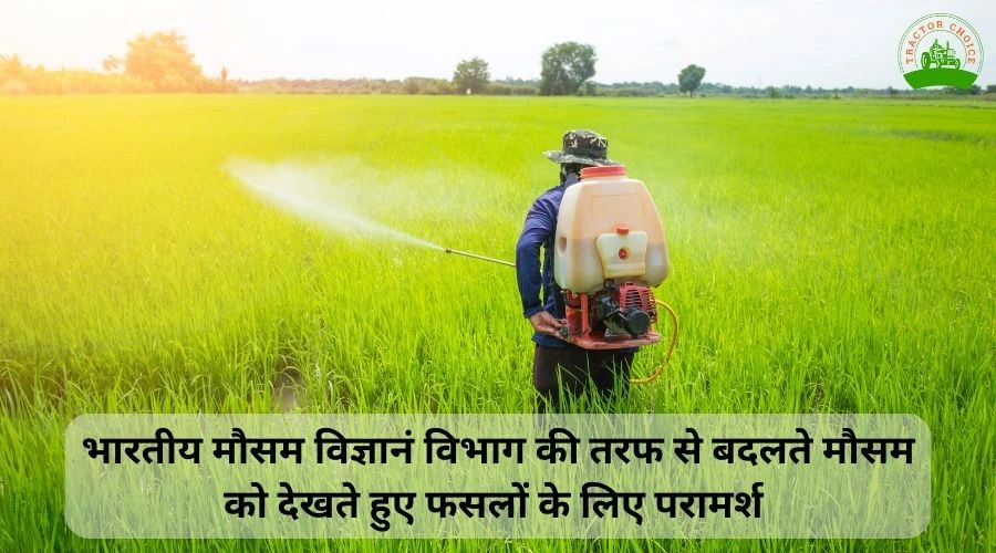 The Indian Meteorological Department has issued advisories for crops