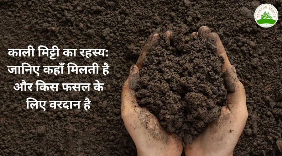 काली मिट्टी का रहस्य: जानिए कहाँ मिलती है और किस फसल के लिए वरदान है
