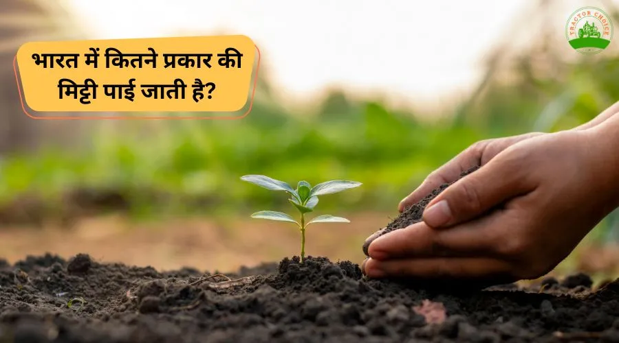 Type Of Soils In India