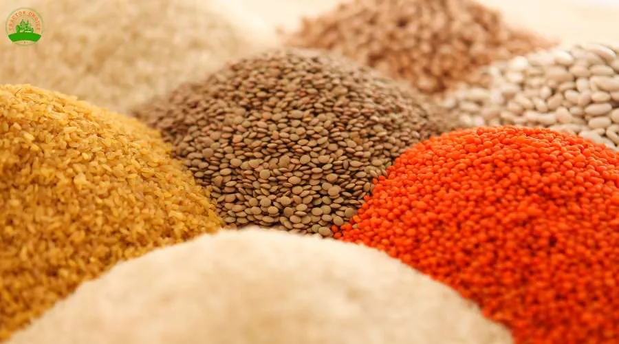 भारतीय कृषि अनुसंधान परिषद ने दलहनी फसलों की 369 किस्में Image