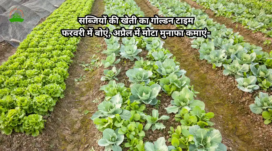 सब्जियों की खेती का गोल्डन टाइम: फरवरी में बोएं, अप्रैल में मोटा मुनाफा कमाएं