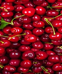 चेरी के शानदार फायदे (Cherry Ke Shandar Fayde)