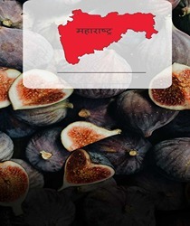 भारत में अंजीर के प्रमुख उत्पादक राज्य (Top 5 Fig Producing States in India)