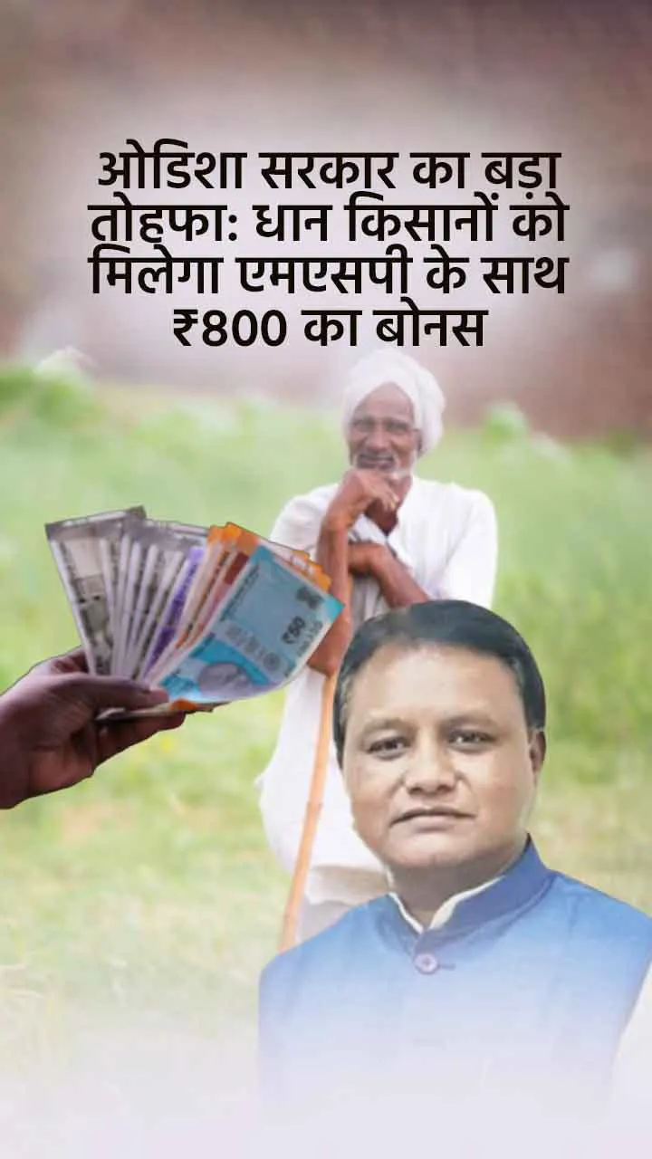 ओडिशा सरकार का बड़ा तोहफा: धान किसानों को मिलेगा एमएसपी के साथ ₹800 का बोनस