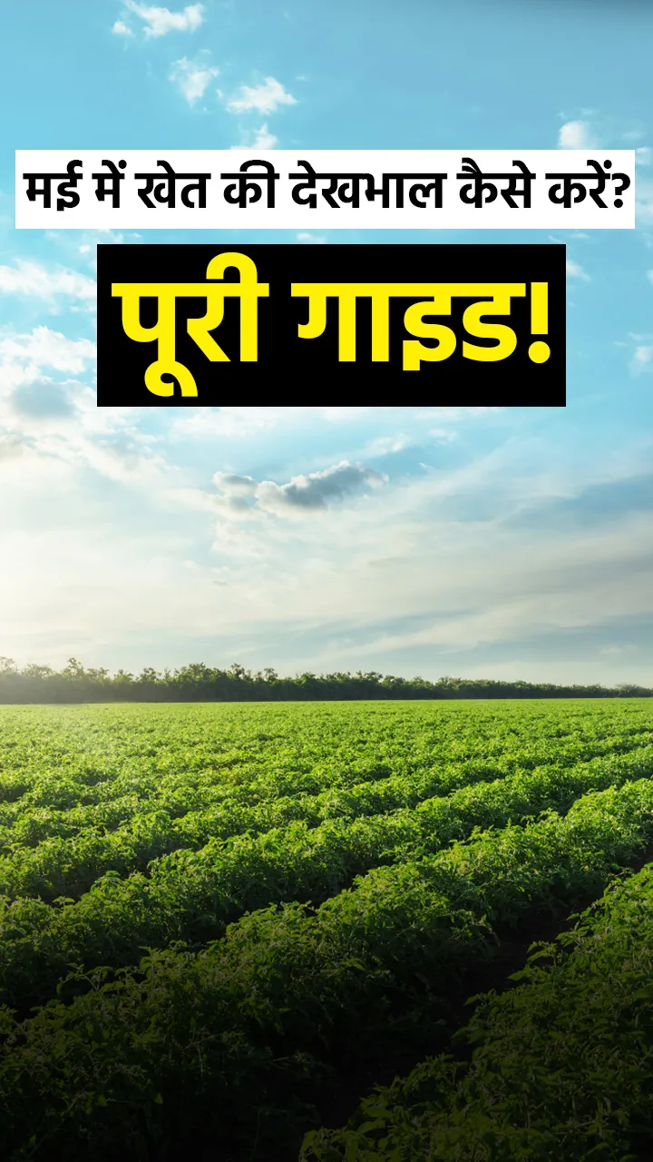 मई की गर्मी में खेती का सही तरीका!