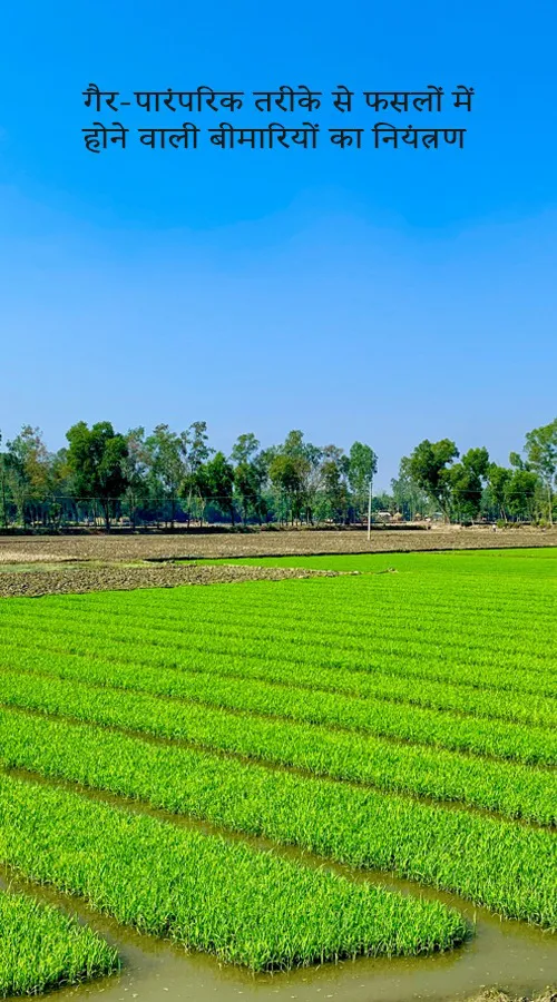 गैर-पारंपरिक तरीके से फसलों में होने वाली बीमारियों का नियंत्रण