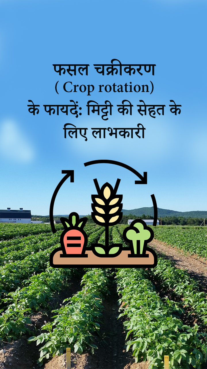 फसल चक्रीकरण( Crop rotation)  के फायदें: मिट्टी की सेहत के लिए लाभकारी