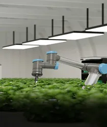 खेतों में रोबोट का कमाल! (Robot Ka Kamaal! - Robots' Wonders in the Fields!)